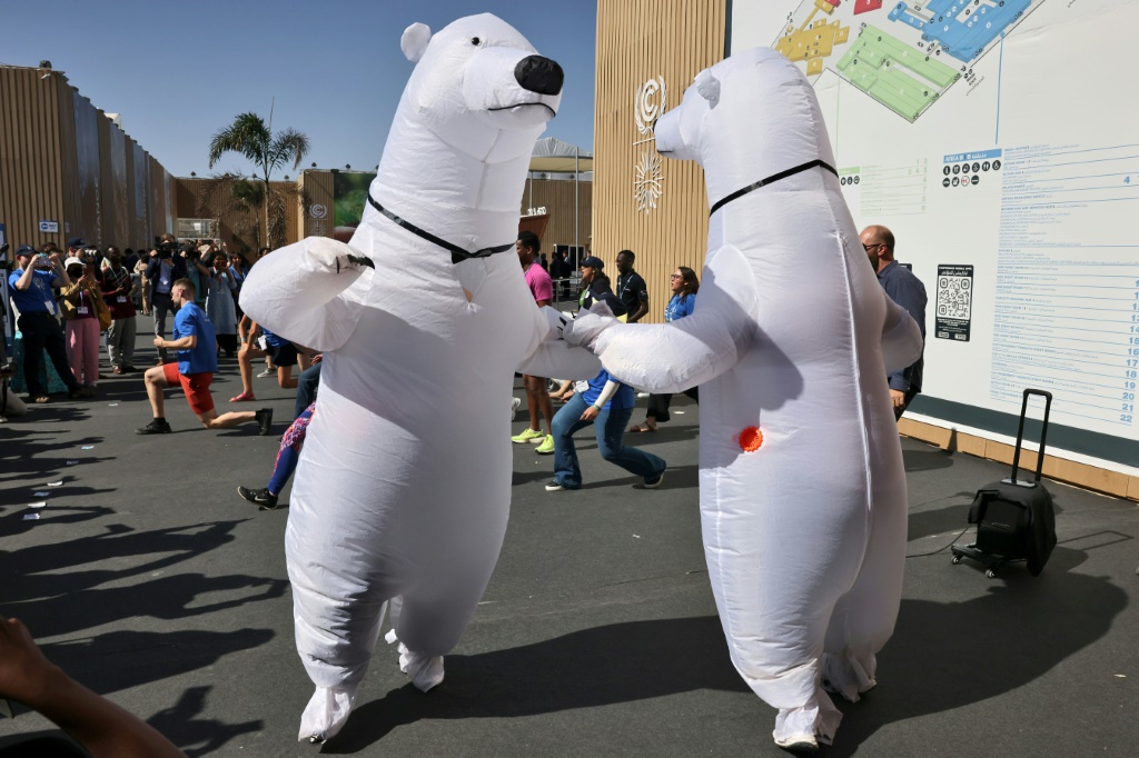 Climate activists dressed as polar bears stage a protest outside the Sharm el-Sheikh International Convention Centre