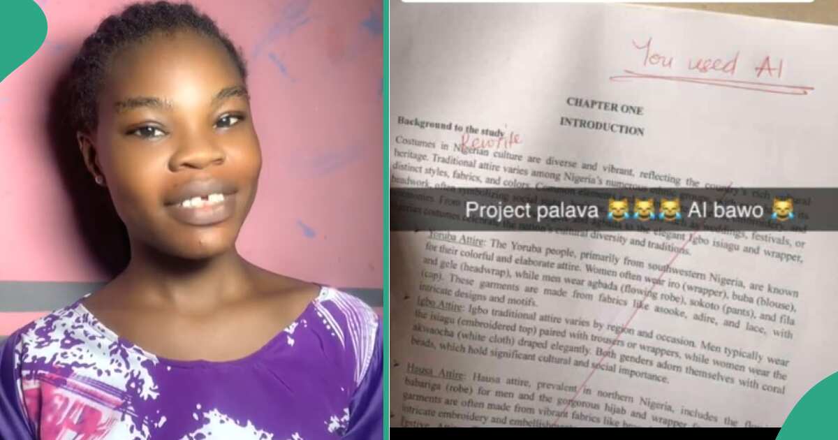 Nigerian lecturer leaves remarks on final student's project work, accuses her of using AI in writing