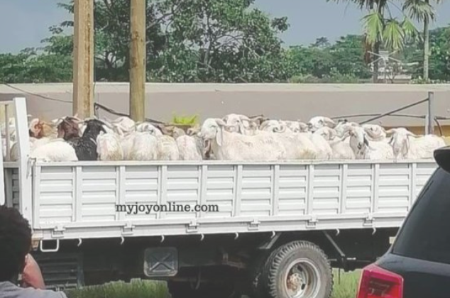 Queen mother allegedly rejects Akufo-Addo’s 62 sheep to settle a dispute