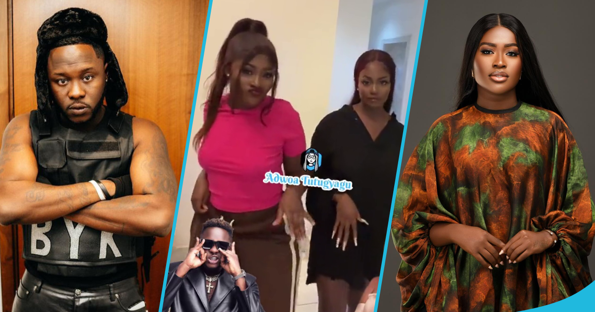 Old videos of Fella Makafui and her cousin doing TikTok videos in her plush mansion surfaces