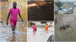 “Yo, this be crazy”: Video of man, others screaming to save driver from drowning in Accra flood stirs emotions