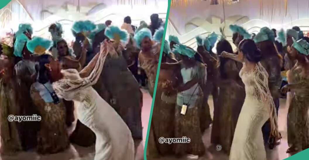 "Hot steppers": Bride and asoebi ladies display classy attire & exciting dance moves, wows netizens