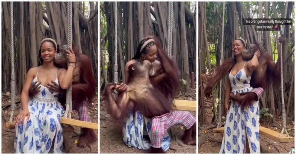 Photos of beautiful lady and an ape