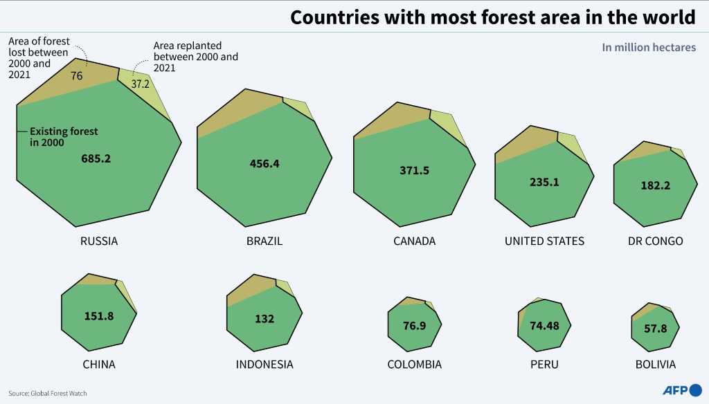 Countries with the most forest in the world