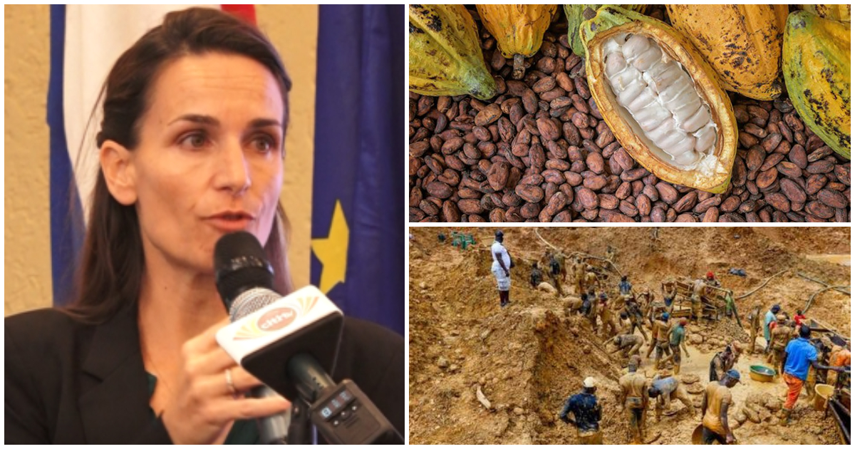 The European Union has clarified that Ghana's cocoa remains among some of the best in the world