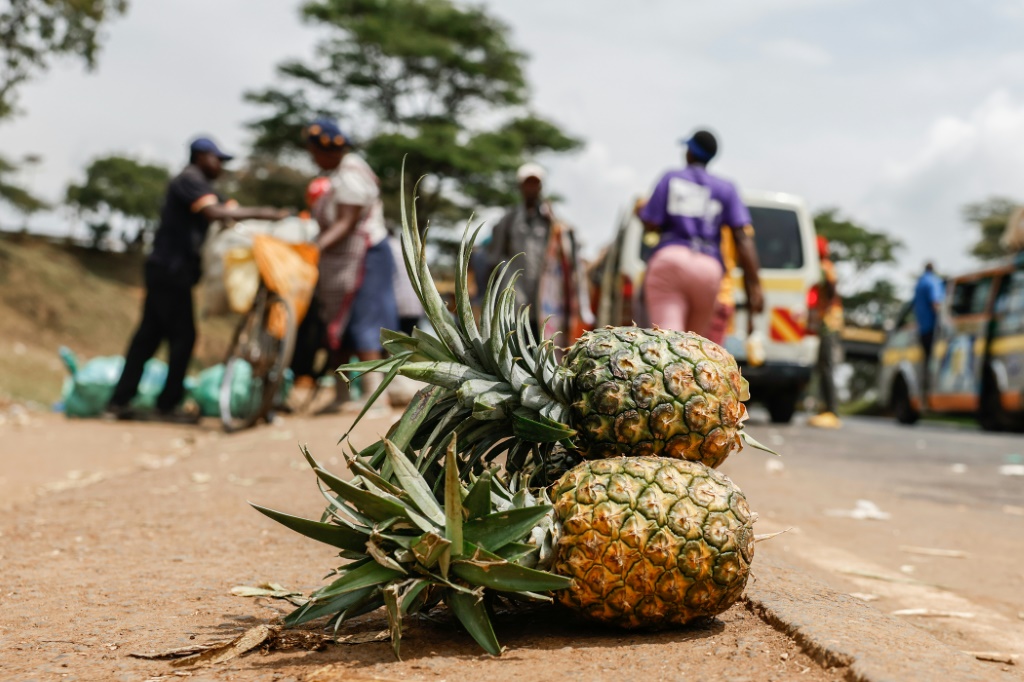 Pineapples at an informal market on the road in Kenya