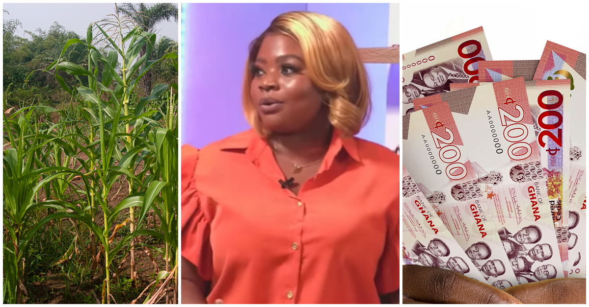 Young Ghanaian farmer shares how much she makes in sales