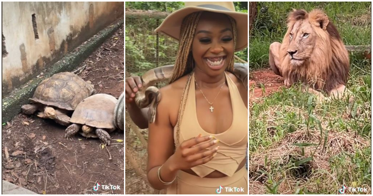 A TikToker shares her experience of visiting the Accra Zoo