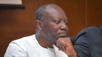 Ofori-Atta is the reason for Ghana’s economic challenges – Economist