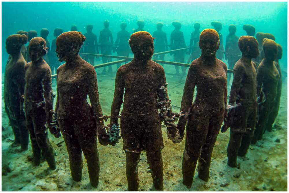 underwater statues
