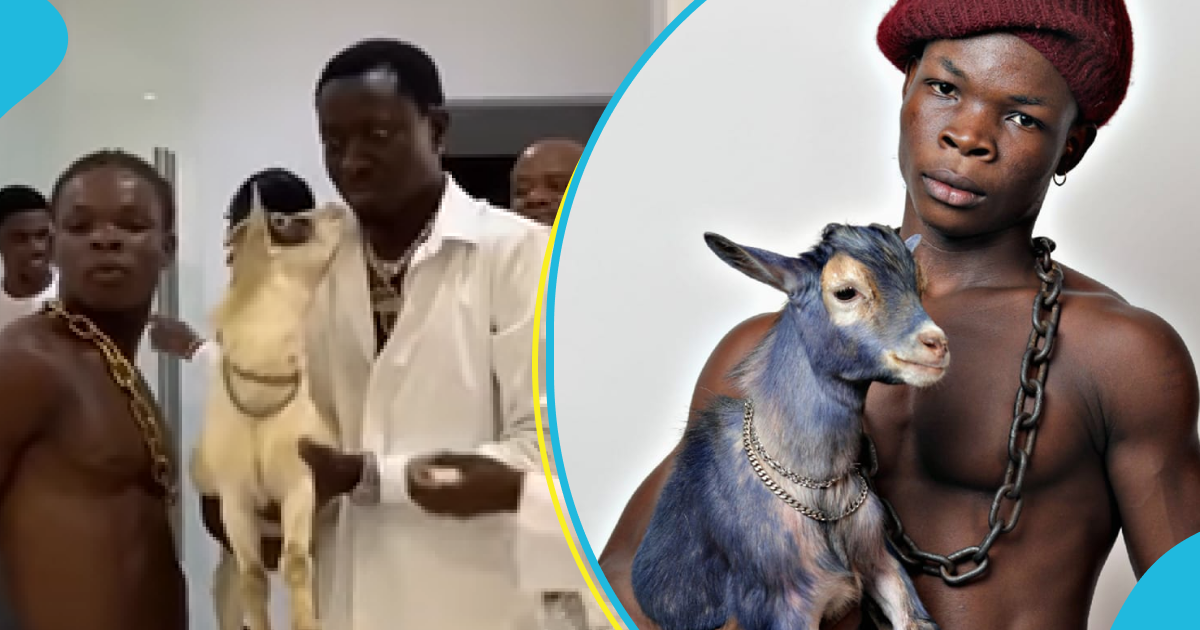 Michael Blackson meets AY Poyoo's goat, hilarious pets it: "Playing with my food before I eat it"