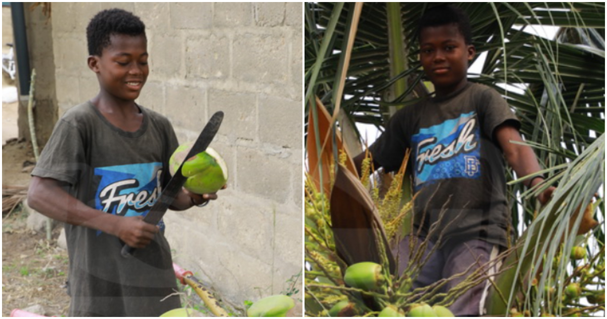 Photo of 13-year-old boy who sells coconuts in Ghana's Greater Accra Region.