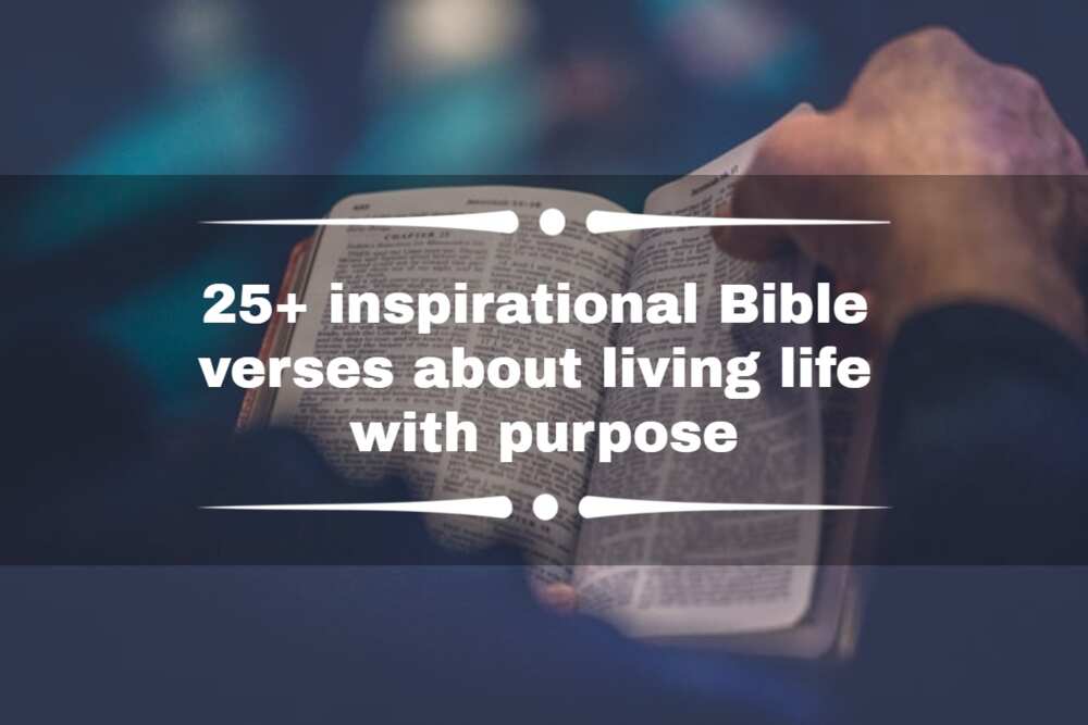 Bible verses about living life with purpose