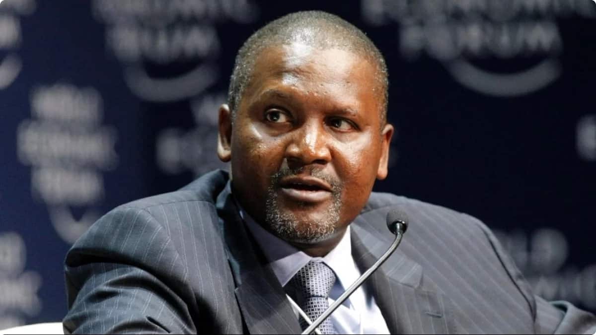 Dangote on track to close 2021 at the richest level he has ever been in 7 years, thanks to his cement company
