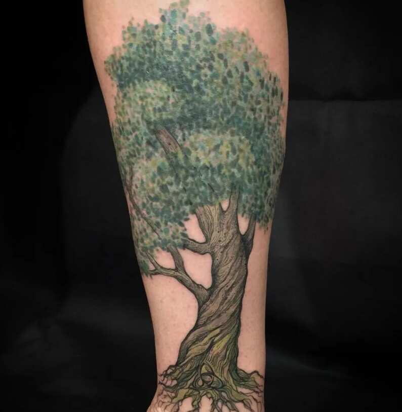 tree of life tattoos images