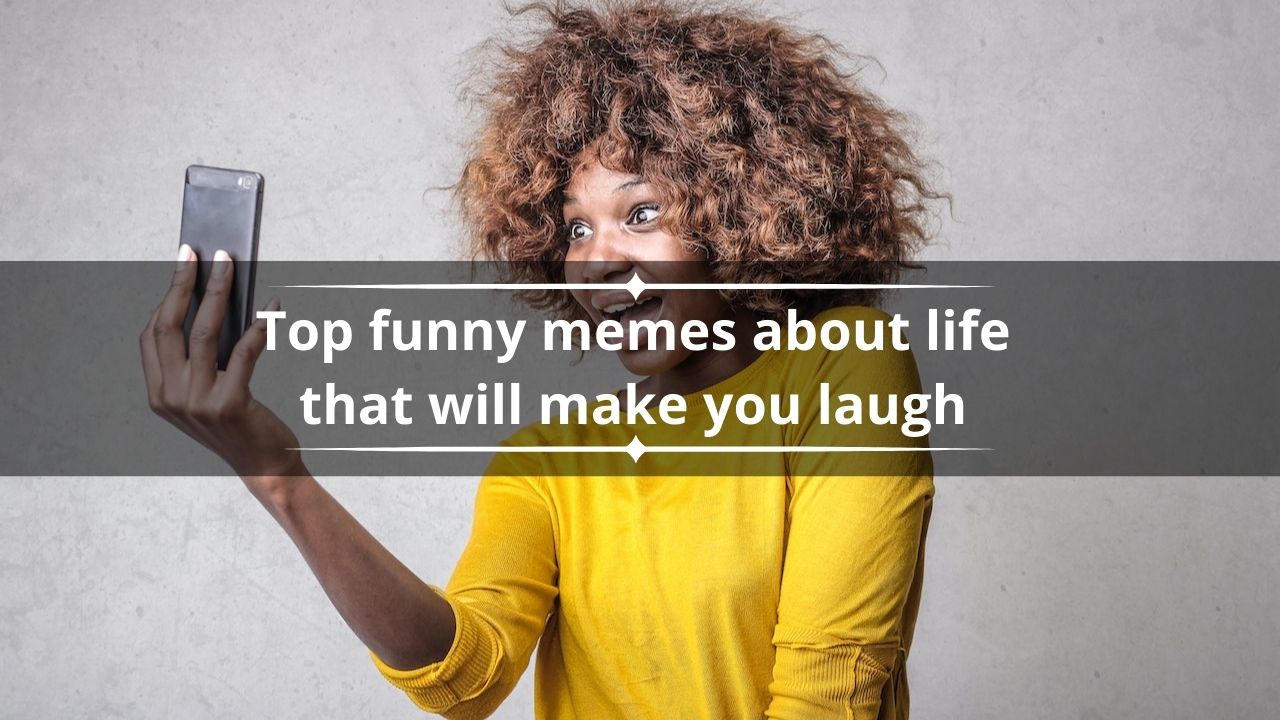 Top 20 funny memes about life that will make you laugh today