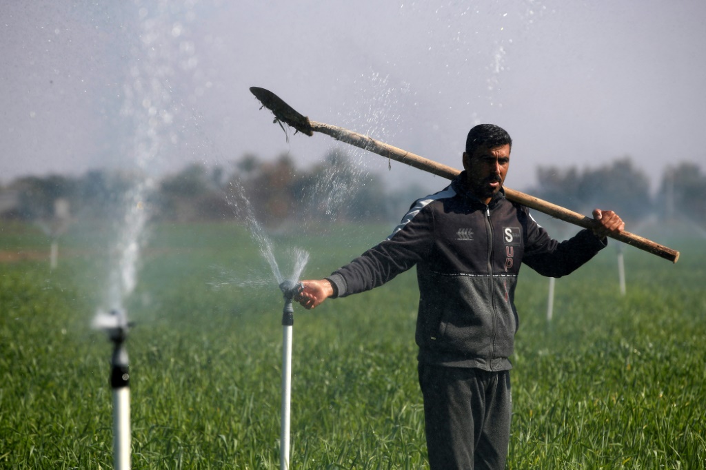 A water-saving irrigation system revived Iraqi farmer Mohammed Sami's crops -- and hopes