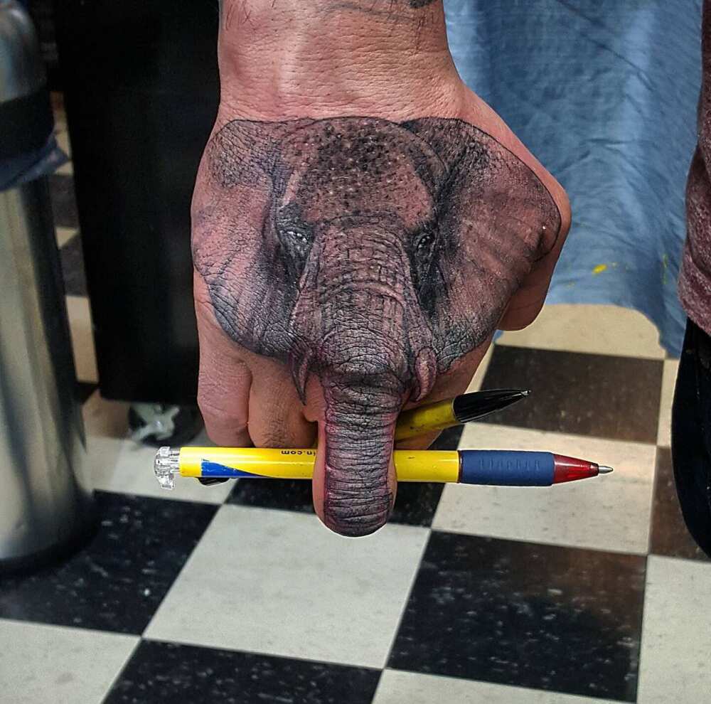 Elephant tattoo