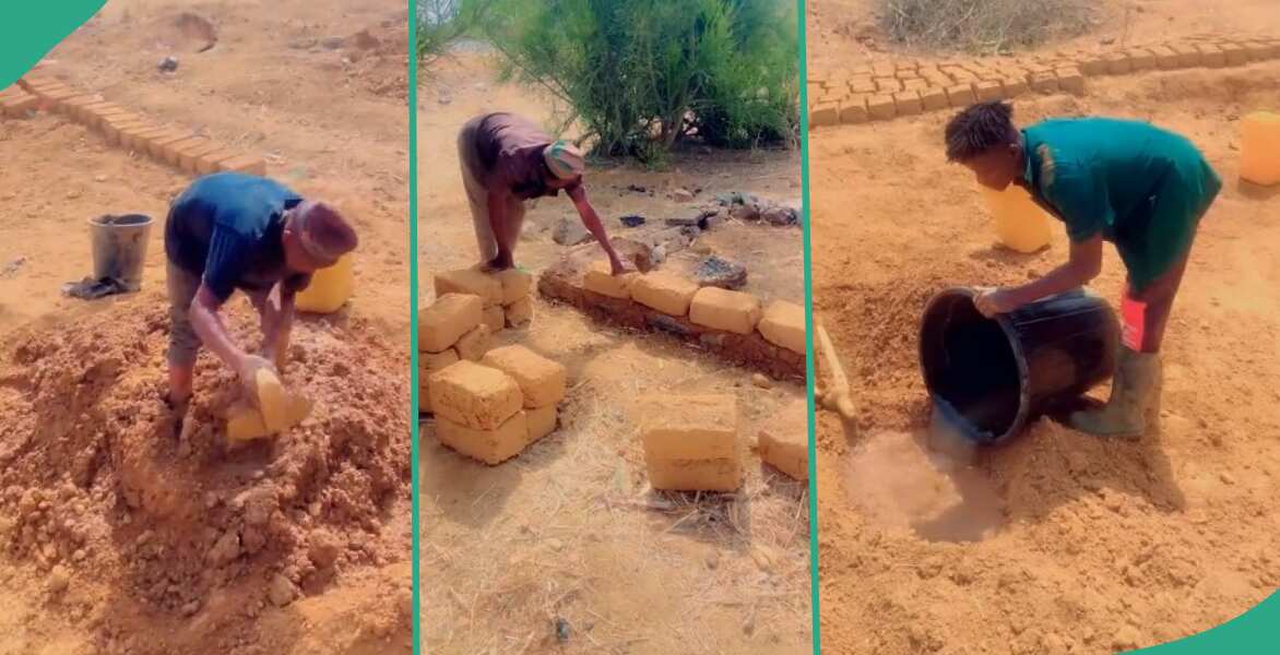 "Stop buying cement": Man displays an alternative way of building a house without cement, video goes viral