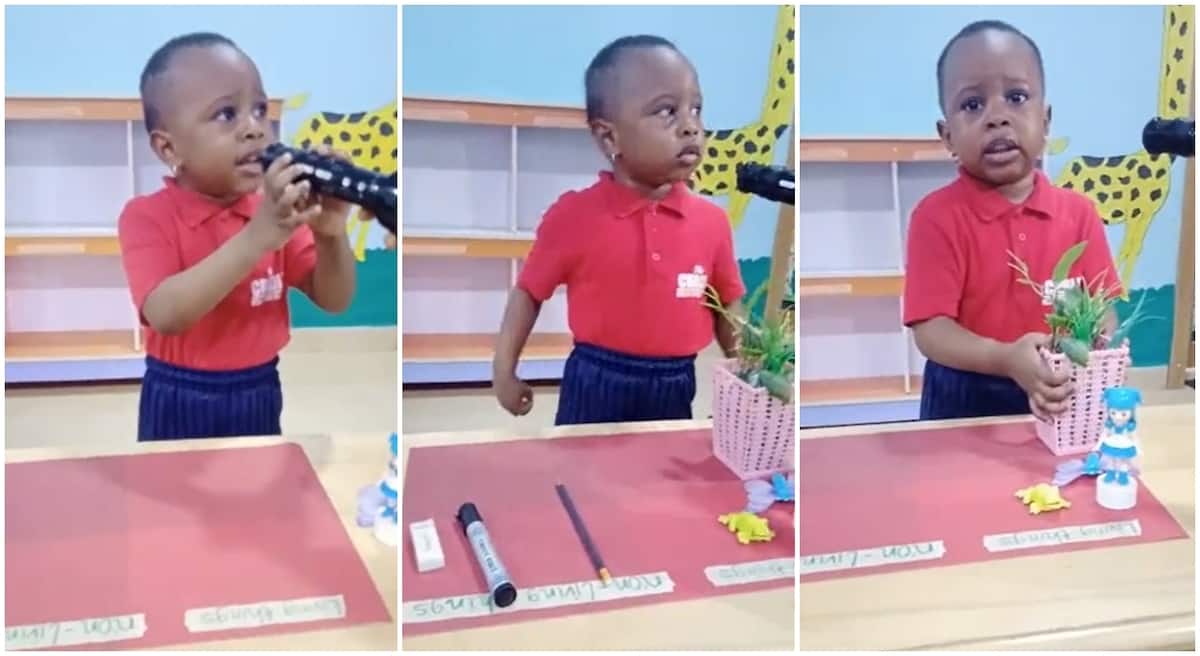 "Which school is this?" Brilliant little girl smartly explains living and non-living things, video goes viral