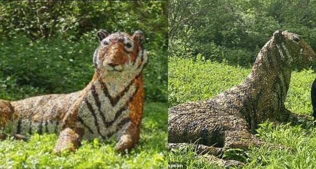 Armed police left embarrassed after swooping in on loose tiger in village only to find a sculpture
