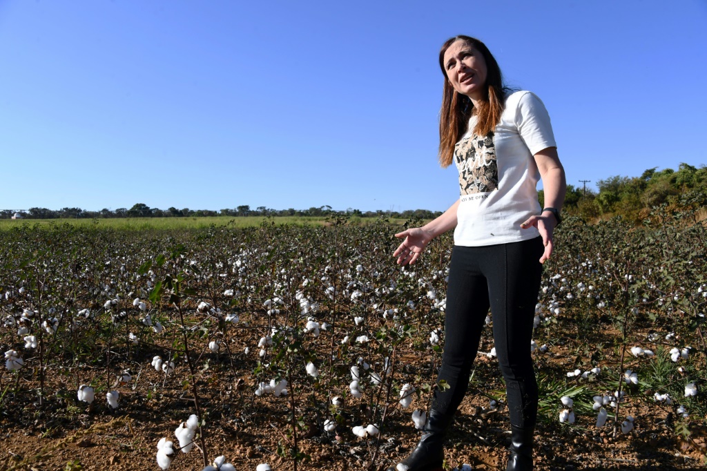 Cristina Schetino, a researcher from the University of Brasilia, speaks about biological pest control in cotton farming during an interview with AFP on August 4, 2022