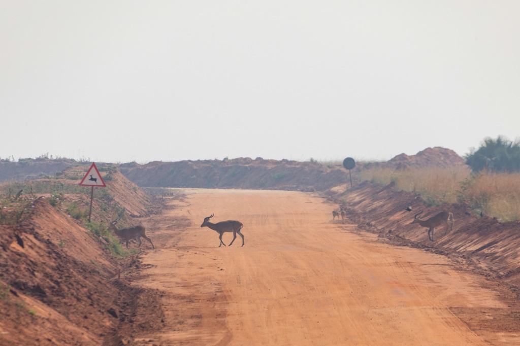 Road in the savannah: The Tilenga oil project aims to pump crude over 1,400 kilometers, from remote Uganda to the coast of Tanzania