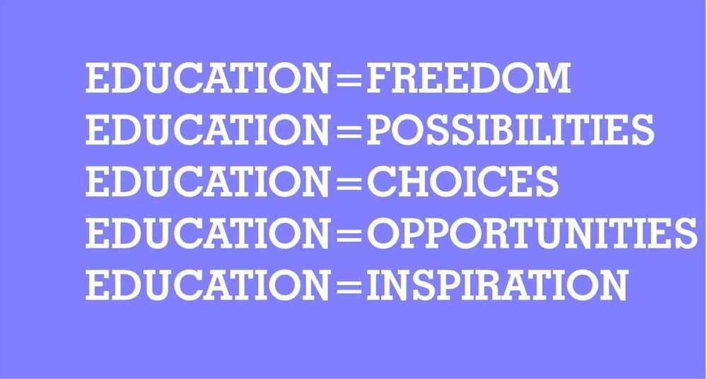 importance of basic education pdf, why is free education important, positive facts about education