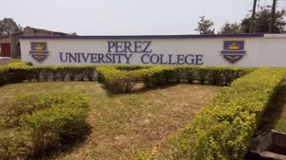 perez university college student portal
courses offered at perez university
perez university programs
perez university college address
