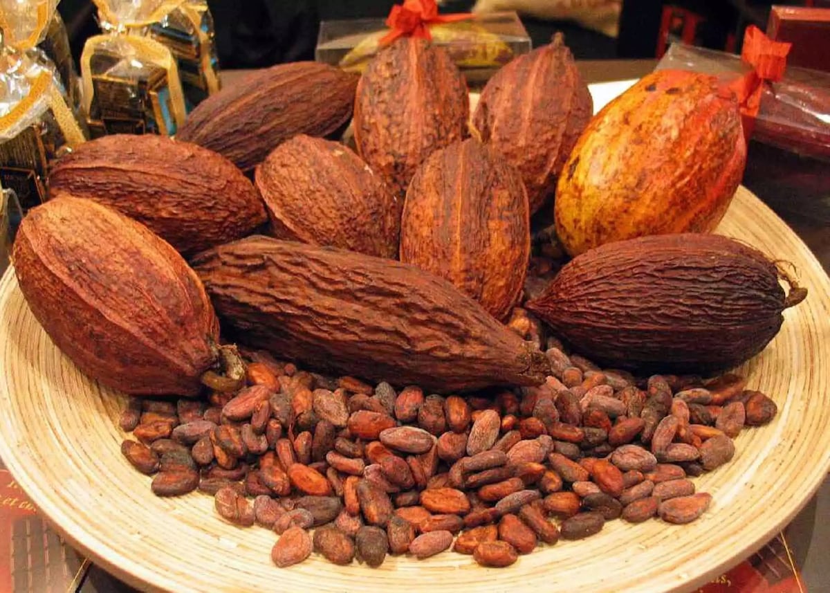 facts about ghana's history, facts about cocoa in ghana, interesting facts about ghana