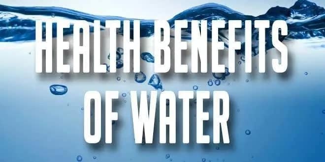 importance of drinking warm water
benefits of water
why do humans need water
does water lubricate joints