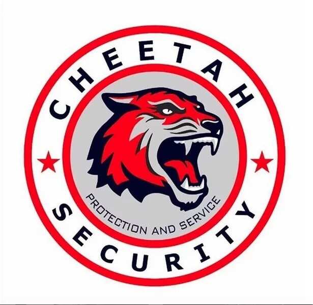 Cheetah Security Co. Limited poster