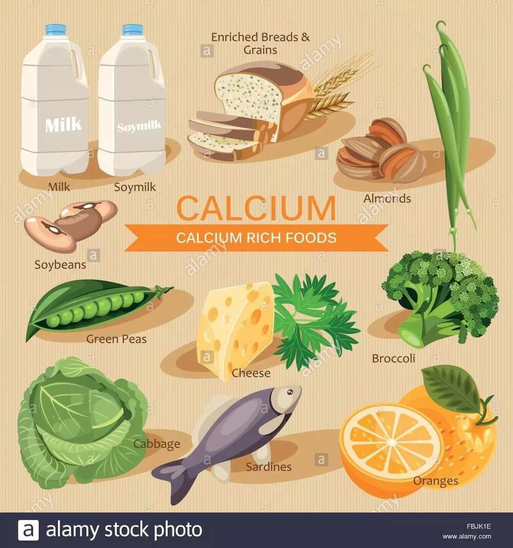 List of best food rich in calcium for healthy bones