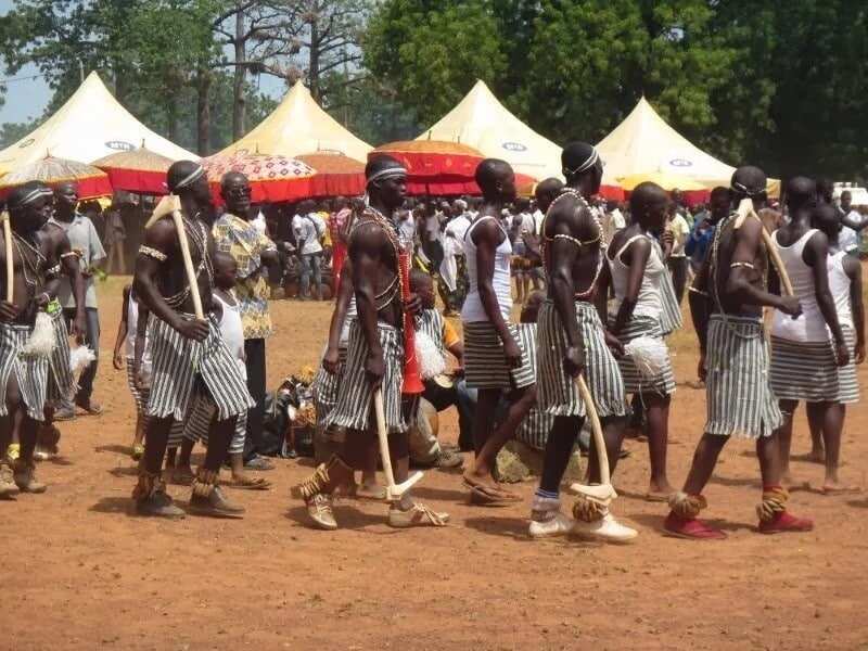 Ten regions in Ghana and their festivals: Learn the Ghanaian Culture