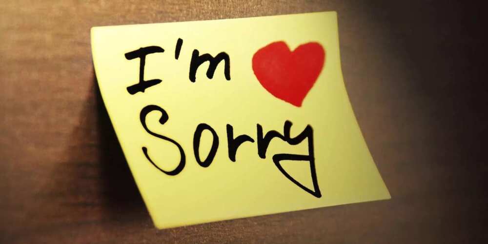 an apology message to your girlfriend
deepest apology message
apology romantic message for her
apology message for break up