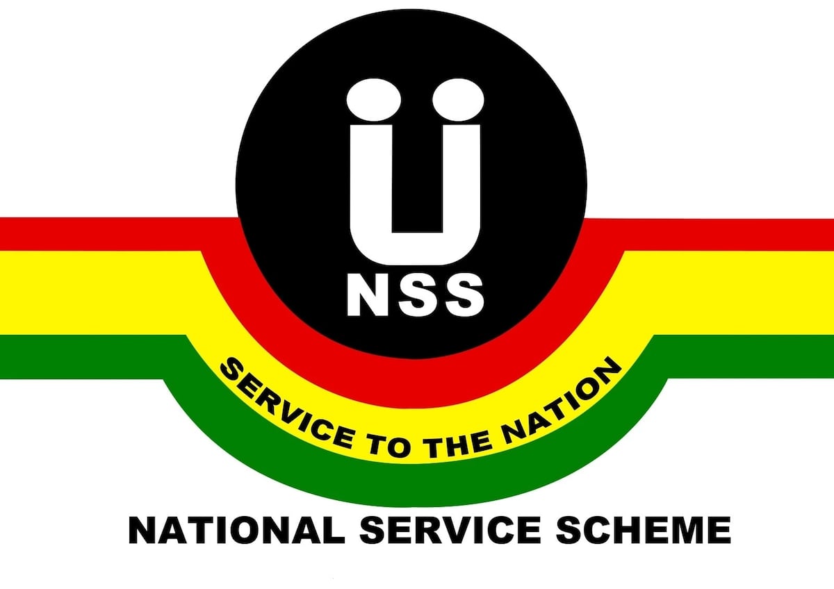 2018-2019 NSS assessment form download