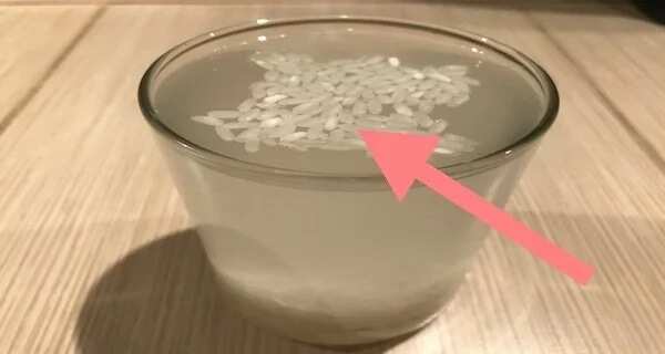 Stay safe! Here is how to identify fake rice from the real one