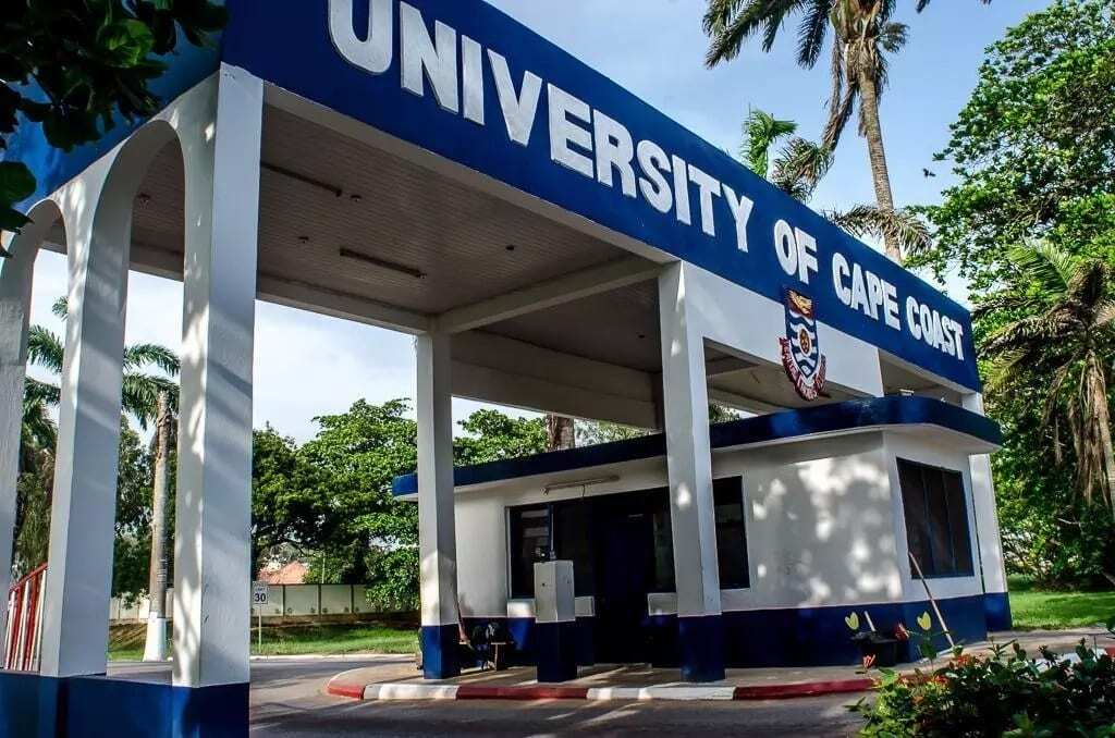 UCC courses and cut off points 2020