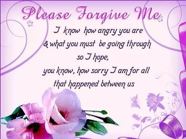 powerful apology message
deep apology message
an apology message to my brother
apology message to an elder