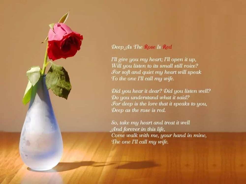 Will you marry me poems for him