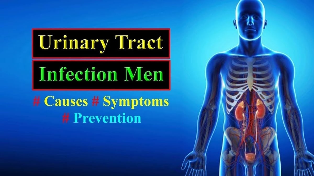 Urinary Tract Infection In Men Causes Symptoms And Treatment Yencomgh 7809
