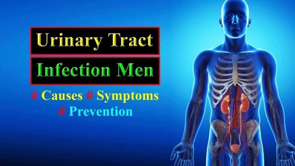 symptoms of uti in men
male uti symptoms
signs of uti in men
what causes uti in men