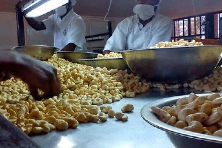 food processing companies in tema ghana
major food processing companies in ghana
names of food processing companies in ghana
agro food processing companies in ghana