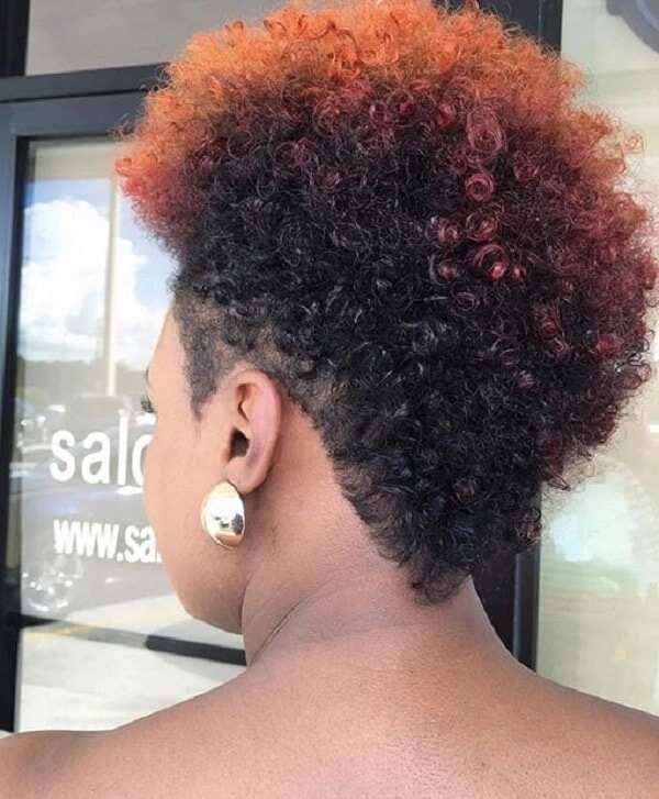 african natural hairstyles
natural hair twist styles for short hair
african hair styles