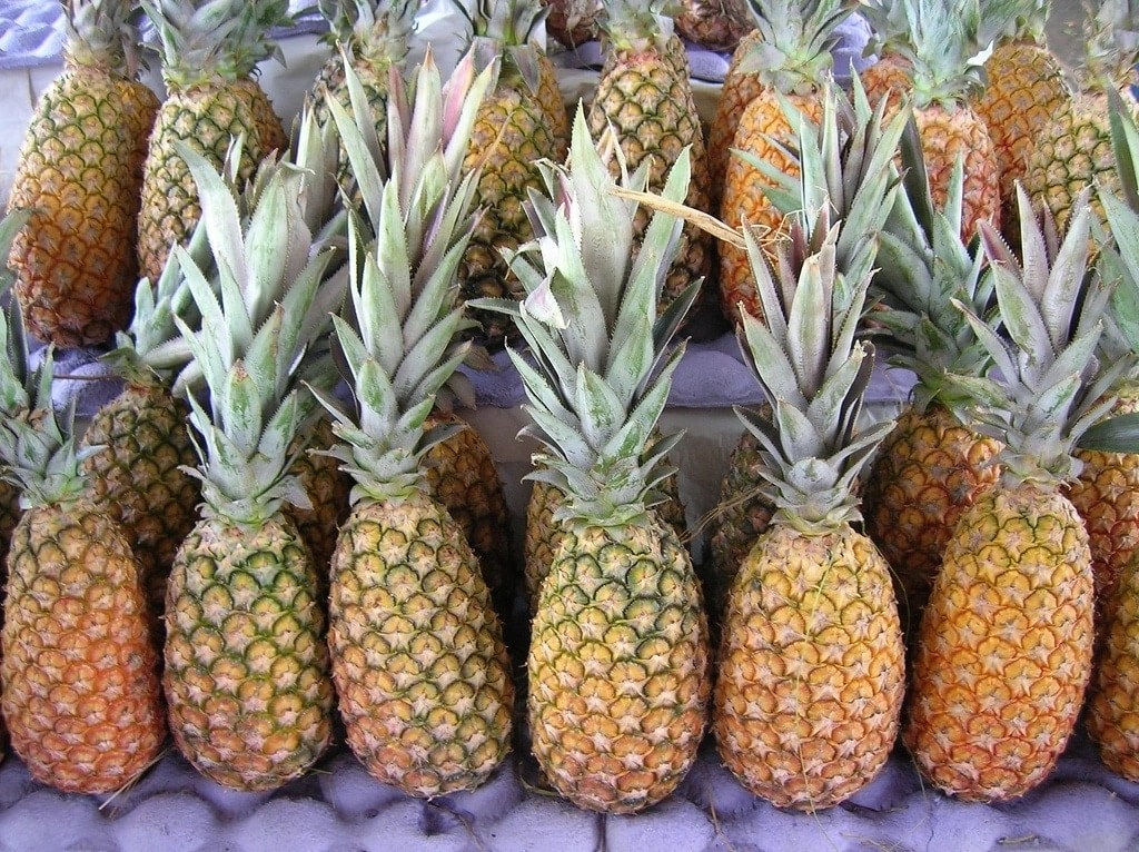 Health benefits of pineapple to the body