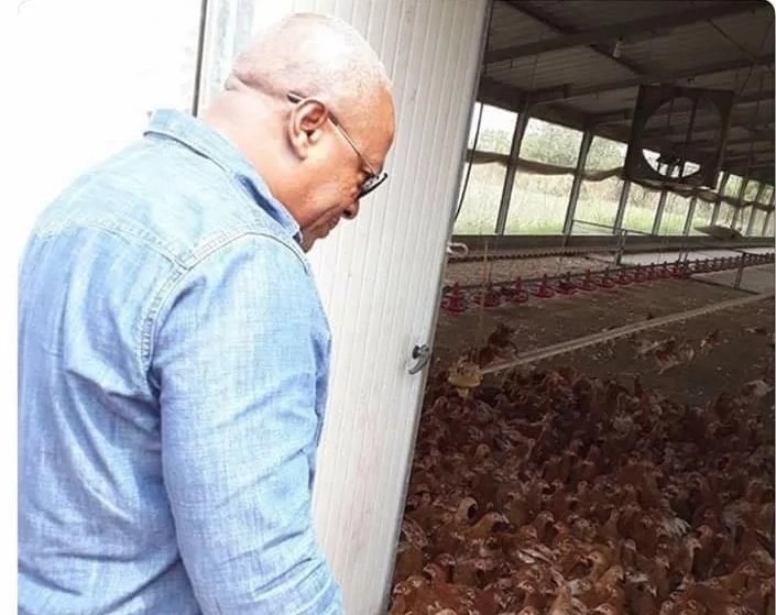 What Ghanaians are saying about Mahama's poultry farm