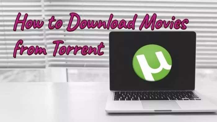how to download movies for utorrent