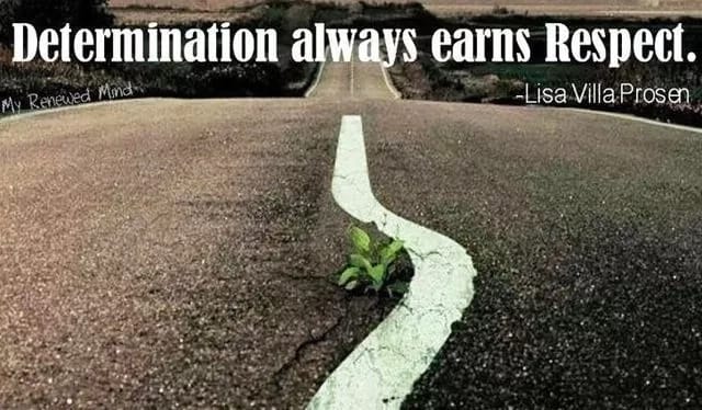 quotes about determination
self determination quotes
quotes about being determined