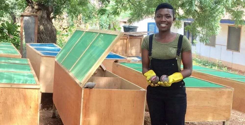 Meet the pretty young lady who has ventured into snail farming despite her educational background