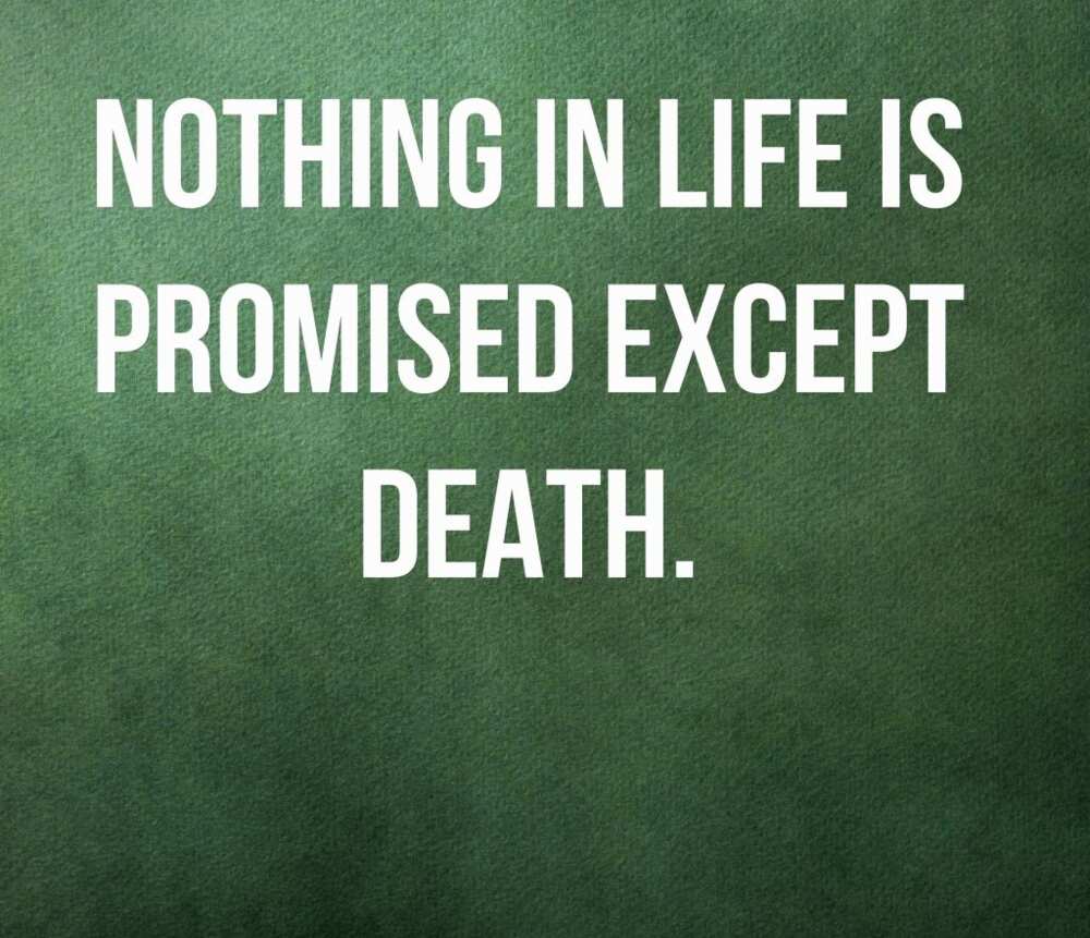 life and death quotes
quotes about death
quotes on death